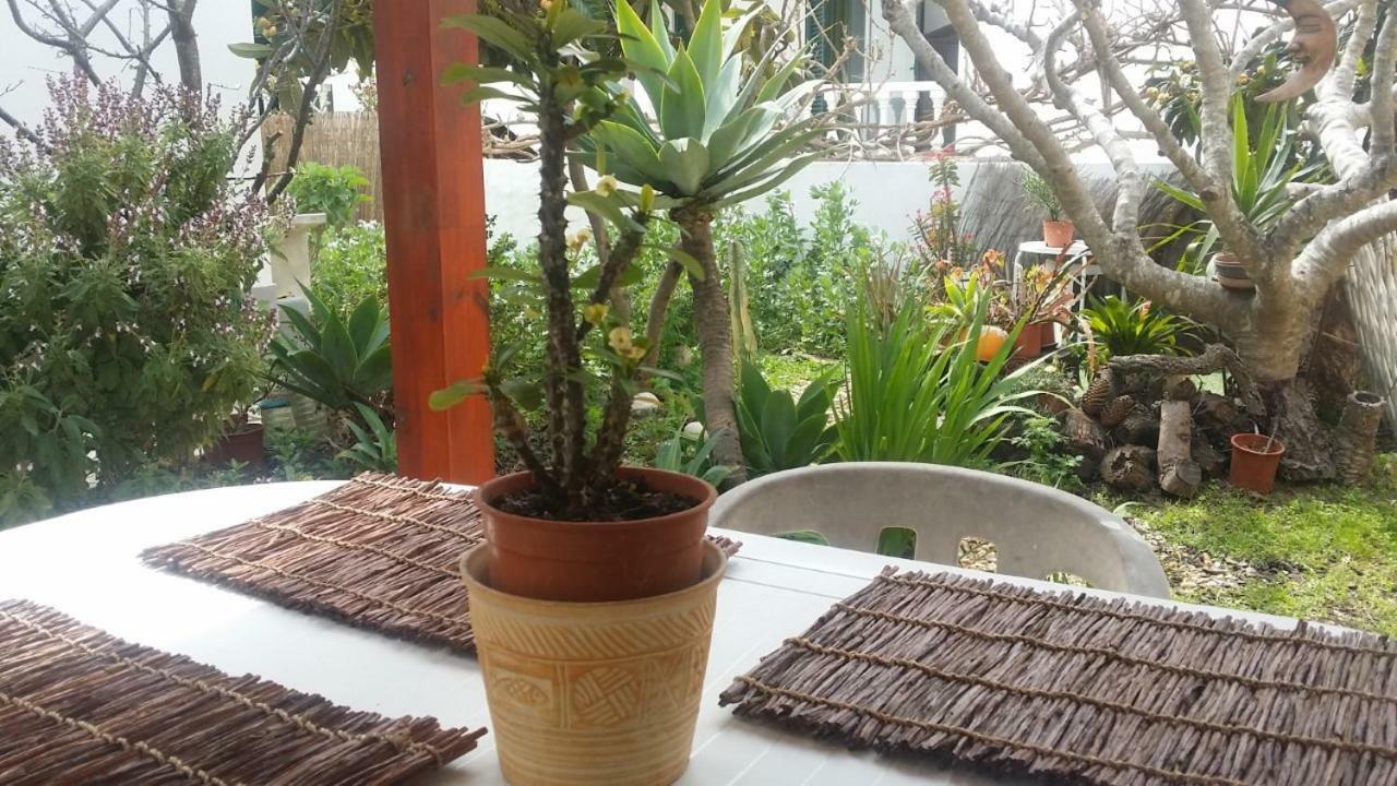 Lemon Tree Relaxing Guesthouse Lagos Exterior photo